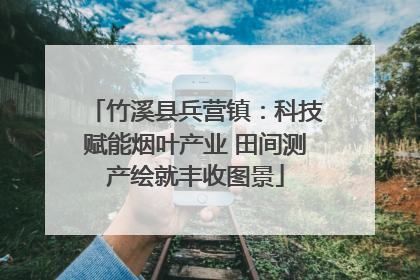 竹溪县兵营镇：科技赋能烟叶产业 田间测产绘就丰收图景