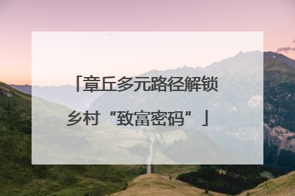 章丘多元路径解锁乡村“致富密码”