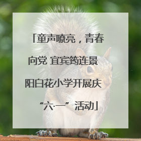 童声嘹亮，青春向党 宜宾筠连景阳白花小学开展庆“六·一”活动