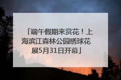 端午假期来赏花！上海滨江森林公园绣球花展5月31日开幕