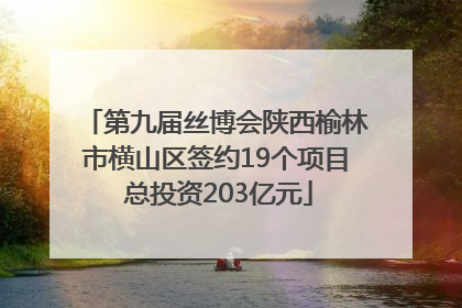 第九届丝博会陕西榆林市横山区签约19个项目 总投资203亿元