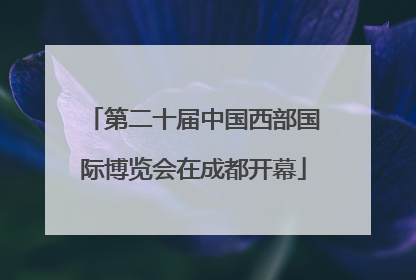 第二十届中国西部国际博览会在成都开幕