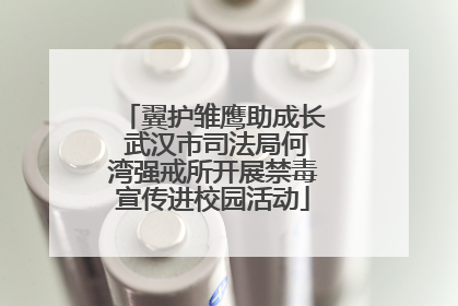 翼护雏鹰助成长 武汉市司法局何湾强戒所开展禁毒宣传进校园活动