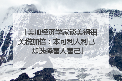 美加经济学家谈美钢铝关税加倍：本可利人利己 却选择害人害己