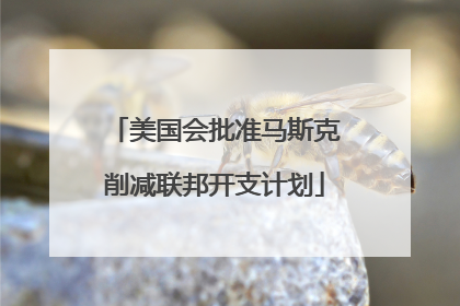 美国会批准马斯克削减联邦开支计划