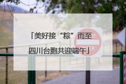 美好接“粽”而至 四川台胞共迎端午