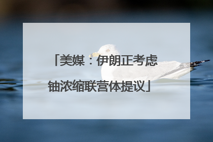 美媒：伊朗正考虑铀浓缩联营体提议