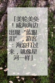 美轮美奂！威海海边出现“蓝眼泪”，游客：海浪打过来，就像星河一样