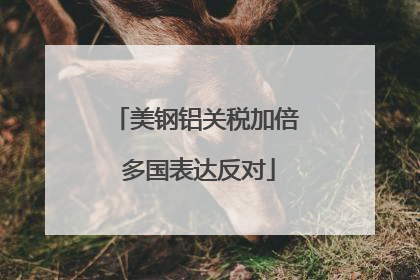 美钢铝关税加倍 多国表达反对