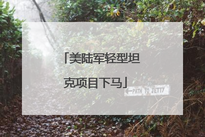 美陆军轻型坦克项目下马