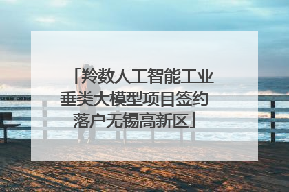 羚数人工智能工业垂类大模型项目签约落户无锡高新区
