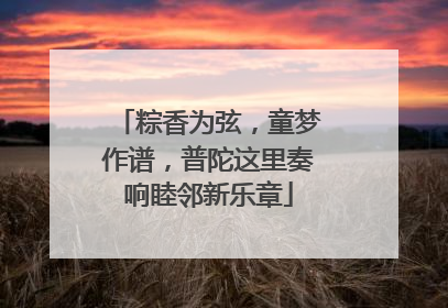 粽香为弦，童梦作谱，普陀这里奏响睦邻新乐章