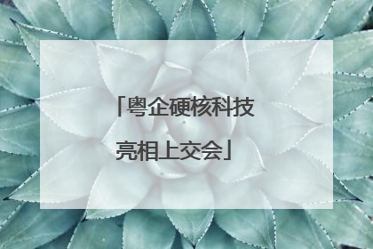 粤企硬核科技亮相上交会