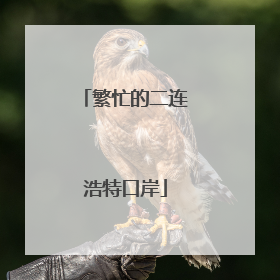 繁忙的二连浩特口岸
