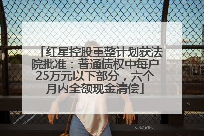 红星控股重整计划获法院批准：普通债权中每户25万元以下部分，六个月内全额现金清偿