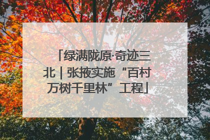 绿满陇原·奇迹三北｜张掖实施“百村万树千里林”工程
