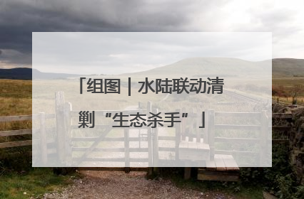 组图｜水陆联动清剿“生态杀手”