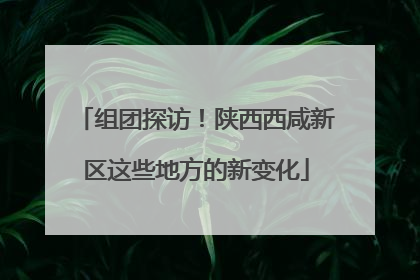 组团探访！陕西西咸新区这些地方的新变化