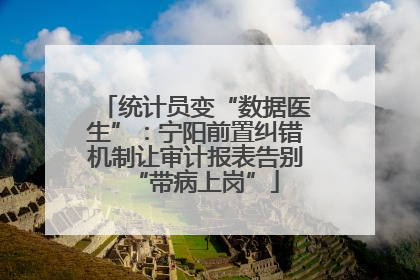 统计员变“数据医生”：宁阳前置纠错机制让审计报表告别“带病上岗”