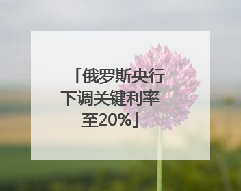 俄罗斯央行下调关键利率至20%
