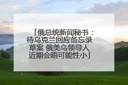 俄总统新闻秘书：待乌克兰回应备忘录草案 俄美乌领导人近期会晤可能性小