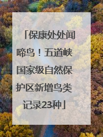 保康处处闻啼鸟！五道峡国家级自然保护区新增鸟类记录23种