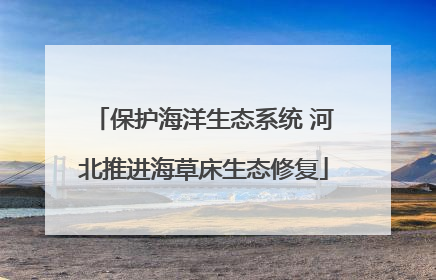 保护海洋生态系统 河北推进海草床生态修复
