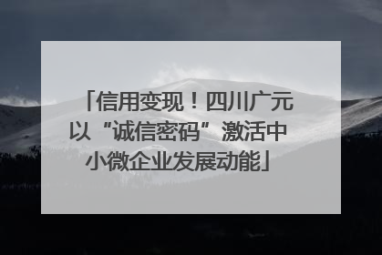 信用变现！四川广元以“诚信密码”激活中小微企业发展动能