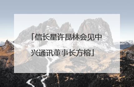 信长星许昆林会见中兴通讯董事长方榕