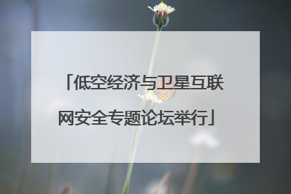 低空经济与卫星互联网安全专题论坛举行