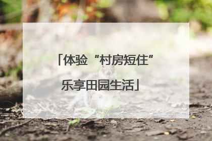 体验“村房短住” 乐享田园生活
