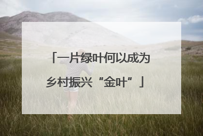 一片绿叶何以成为乡村振兴“金叶”
