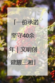 一份承诺坚守40余年｜文明创建耀三湘