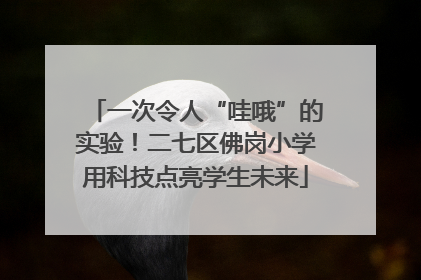 一次令人“哇哦”的实验！二七区佛岗小学用科技点亮学生未来