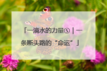一滴水的力量⑤｜一条断头路的“命运”