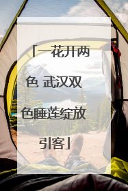 一花开两色 武汉双色睡莲绽放引客