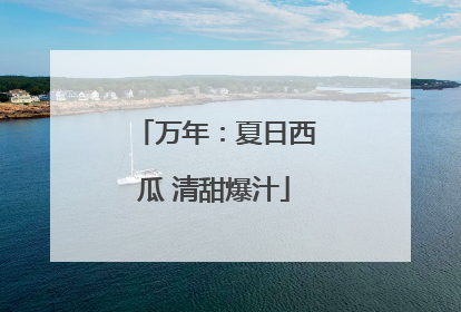 万年：夏日西瓜 清甜爆汁