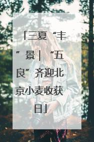 三夏“丰”景｜“五良”齐迎北京小麦收获日