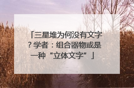 三星堆为何没有文字？学者：组合器物或是一种“立体文字”