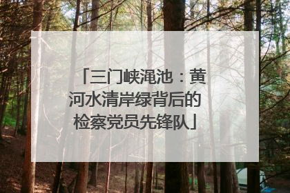 三门峡渑池：黄河水清岸绿背后的检察党员先锋队