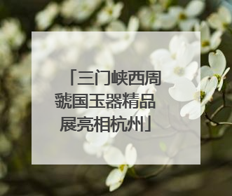 三门峡西周虢国玉器精品展亮相杭州