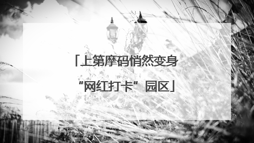 上第摩码悄然变身“网红打卡”园区