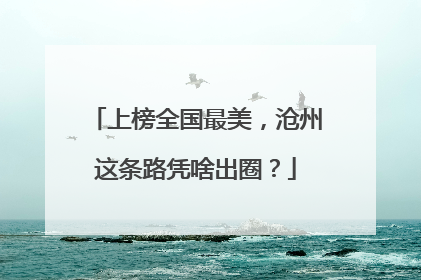 上榜全国最美，沧州这条路凭啥出圈？