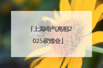 上海电气亮相2025碳博会