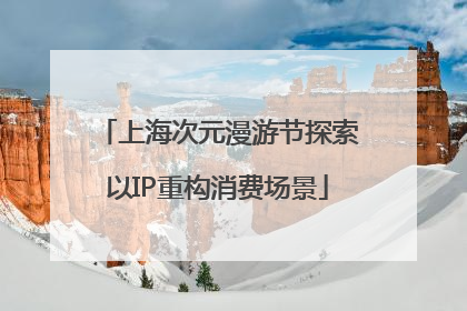 上海次元漫游节探索以IP重构消费场景