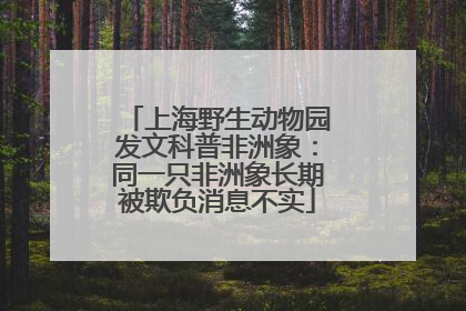 上海野生动物园发文科普非洲象：同一只非洲象长期被欺负消息不实