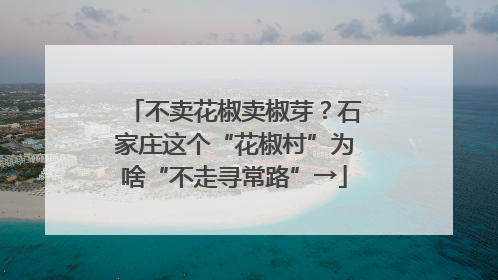 不卖花椒卖椒芽？石家庄这个“花椒村”为啥“不走寻常路”→