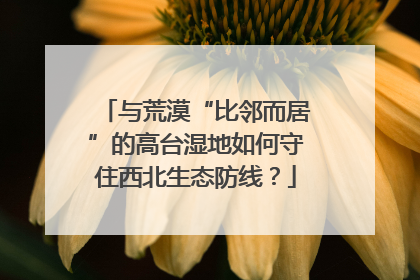 与荒漠“比邻而居”的高台湿地如何守住西北生态防线？