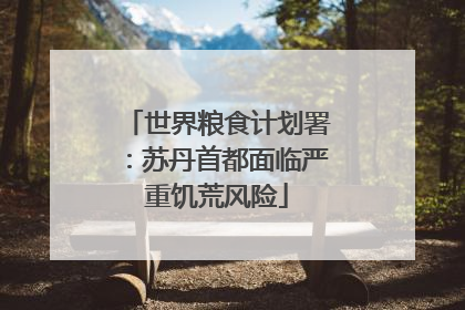 世界粮食计划署：苏丹首都面临严重饥荒风险