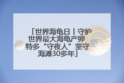 世界海龟日丨守护世界最大海龟产卵 特多“守夜人”坚守海滩30多年